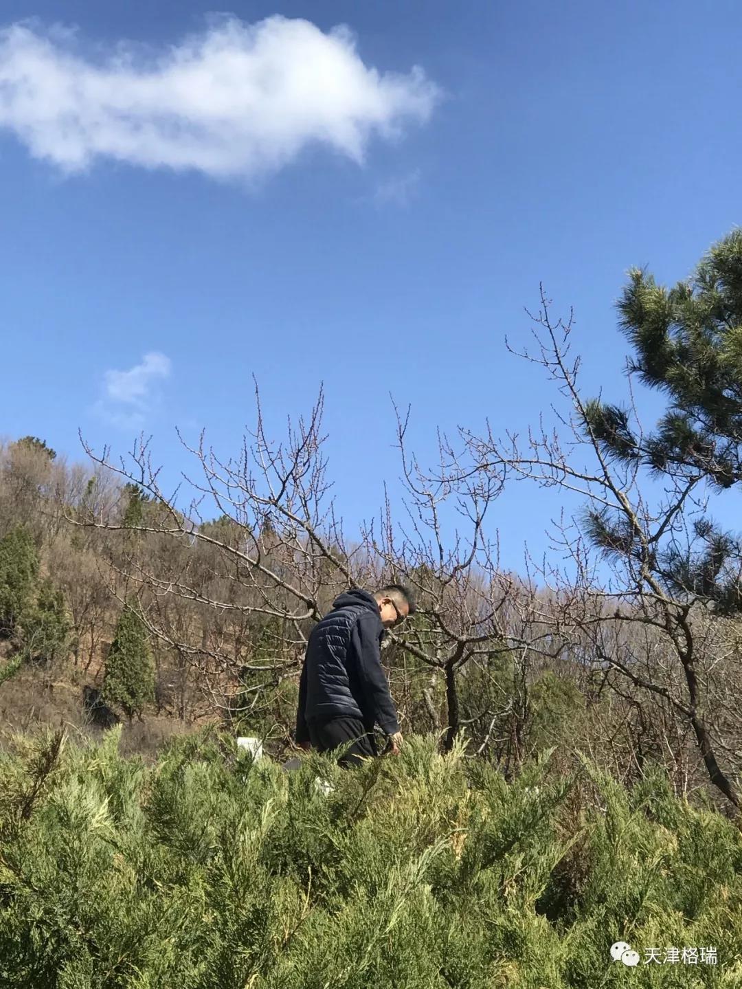 20200916160024539218.jpg 1554731108406689.jpg